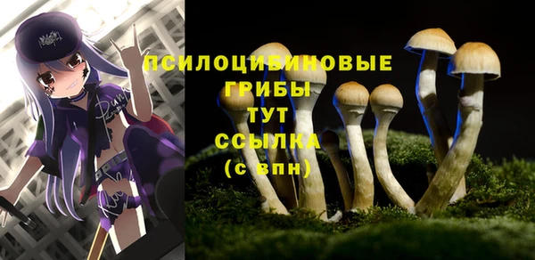 apvp Богданович